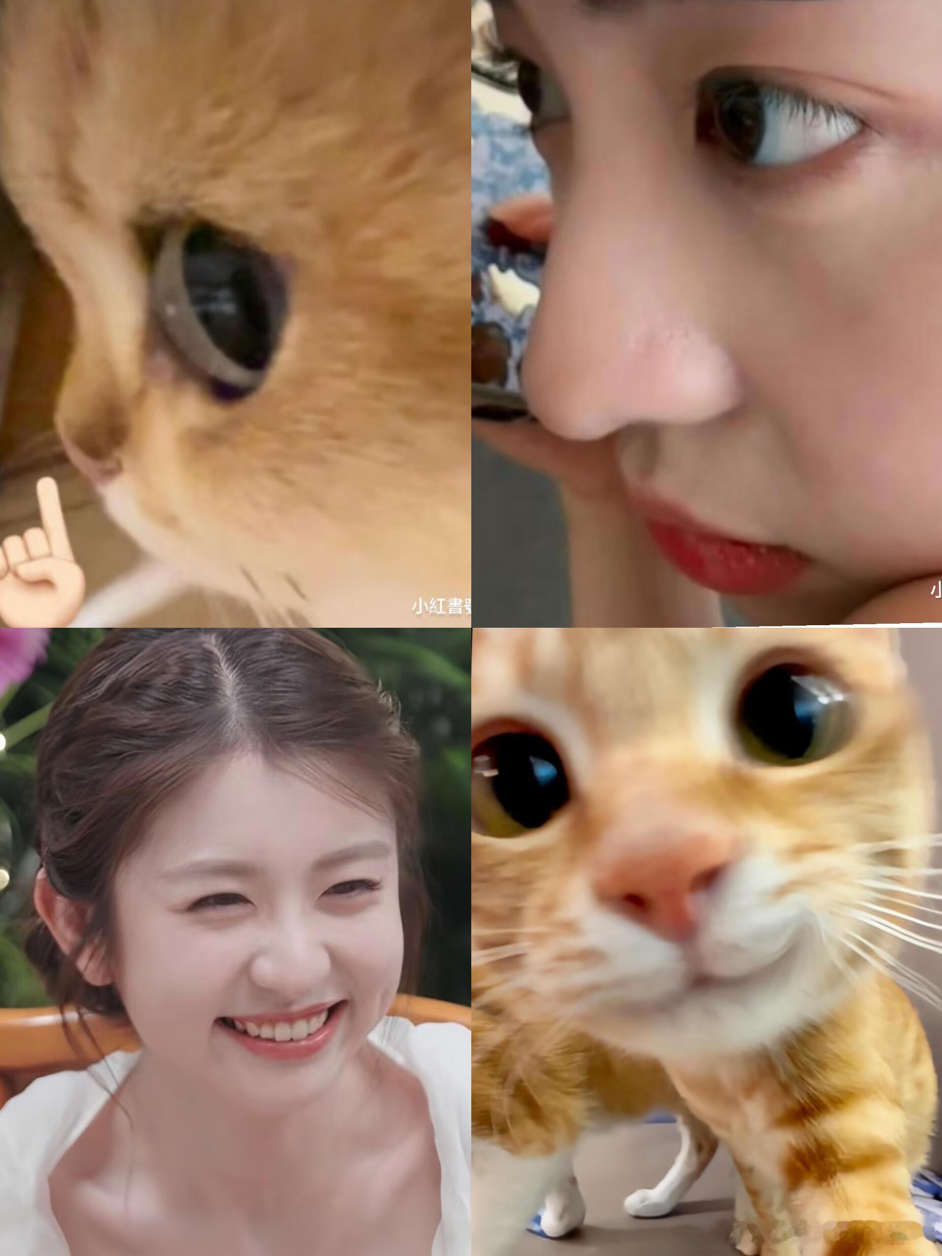 徐如蓝你完全小猫来的！🐱可爱晕了，每一张都让我想到小猫咪！最佳猫塑！！！心动的