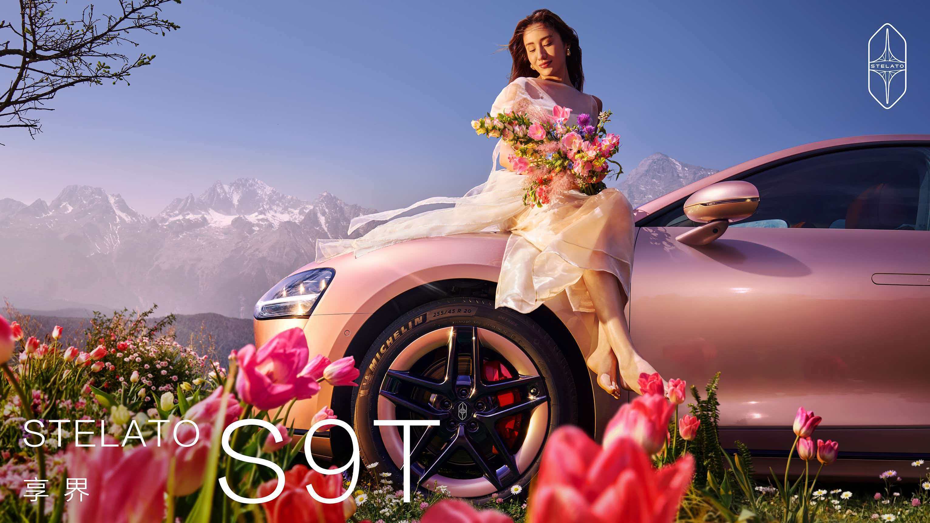 之前有位老哥一直想买享界S9T，借口是给媳妇开，但是她媳妇一直不同意。这回S