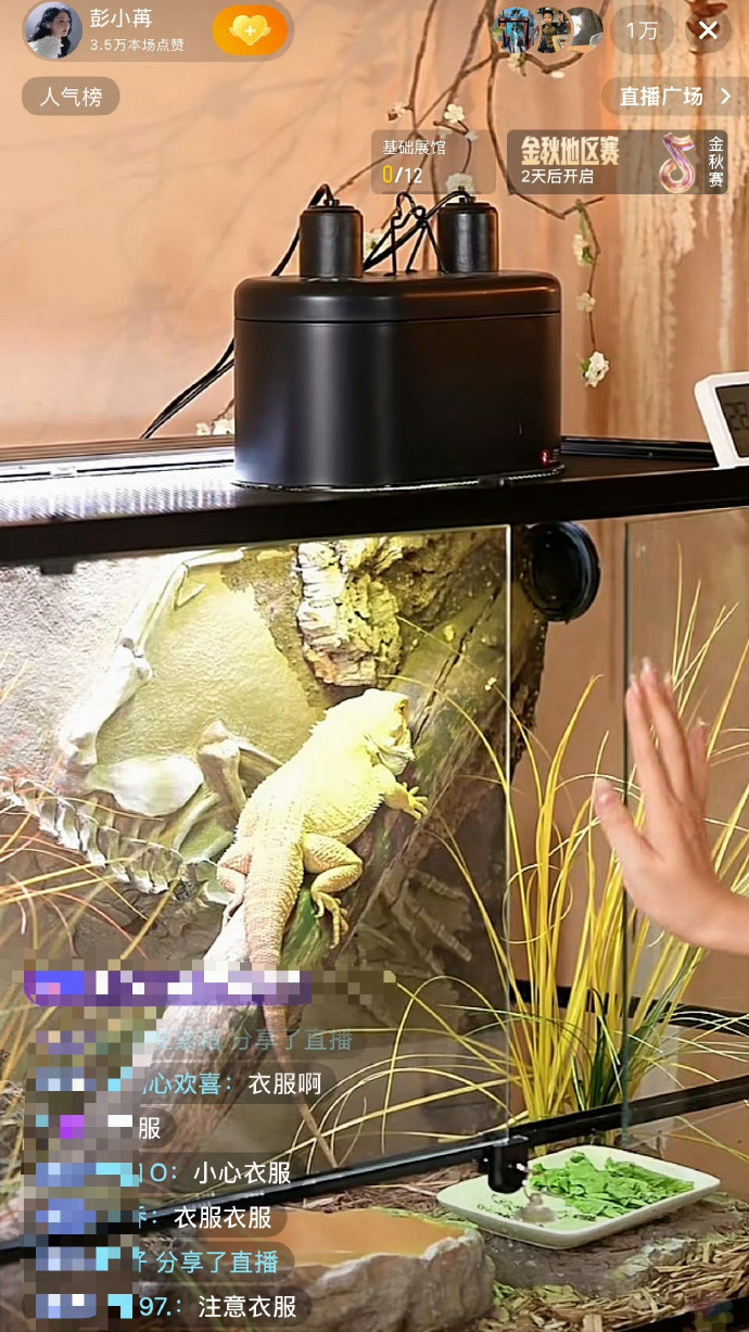 彭小苒直播，网友都在劝她换件衣服再来直播彭小苒直播穿的衣服​​​​