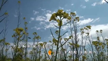 简谱我在纳林湖等着你_我在纳林湖等着你图片(3)