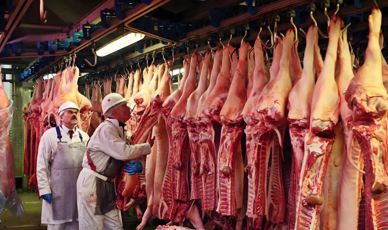 怪不得近来市场上猪肉越来越便宜！原来是中国进口欧盟的猪肉便宜，冲击了中国猪肉市场