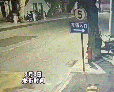 马路猫杀人事件！