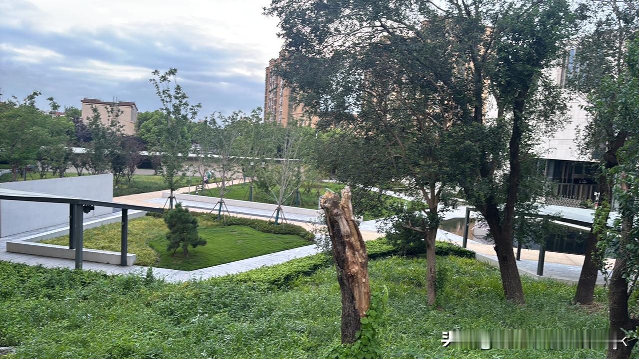 为啥快递服务总包邮“江浙沪”，却不带安徽玩呢？其实这和地理、经济脱不了干系。江浙