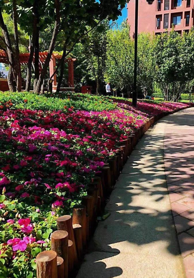 楼市要么跌要么涨，从来就没有横盘这一说，对吗？当前的房价到底了吗？房市上，我