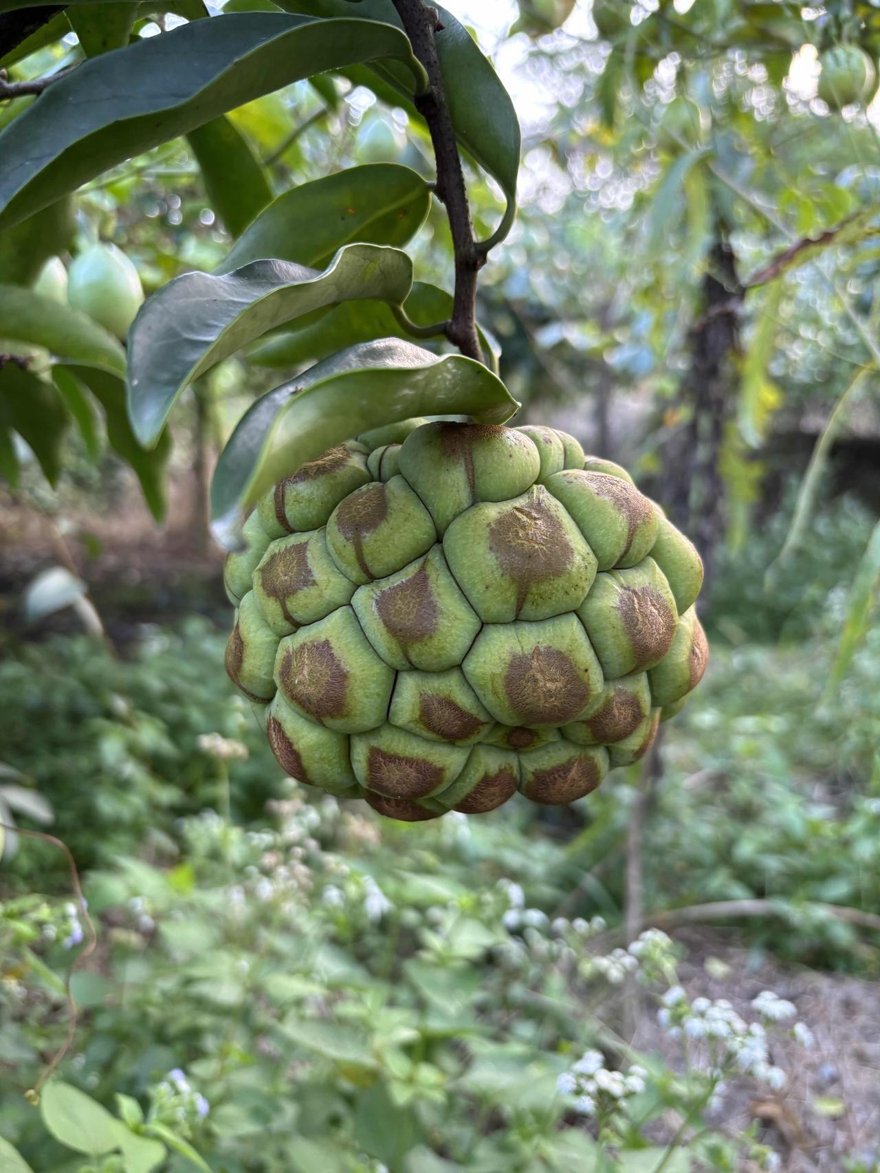 当老师就是为了退休后的生活，这是很多老师选择当老师的最主要原因。退休教师的工资比
