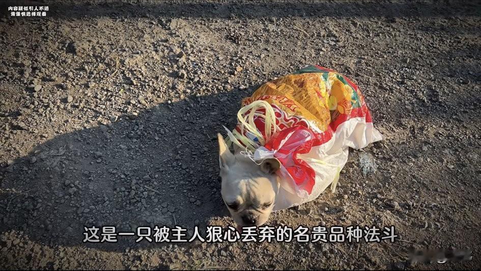 泪目了！这天一位小姐姐开车去郊游，当她把车停在路边，准备去玩的时候，却看到了非常