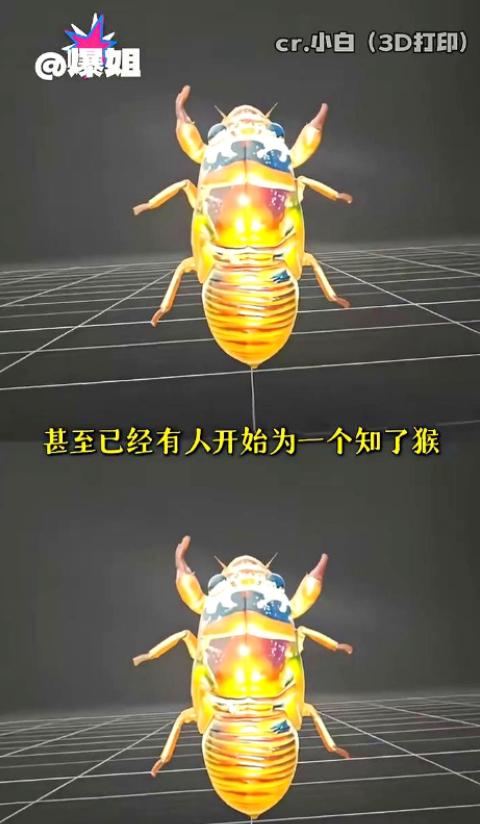 山东抓知了猴的这批人最近估计快要崩溃了，他们千算万算，也没算到能碰上科技感拉满的