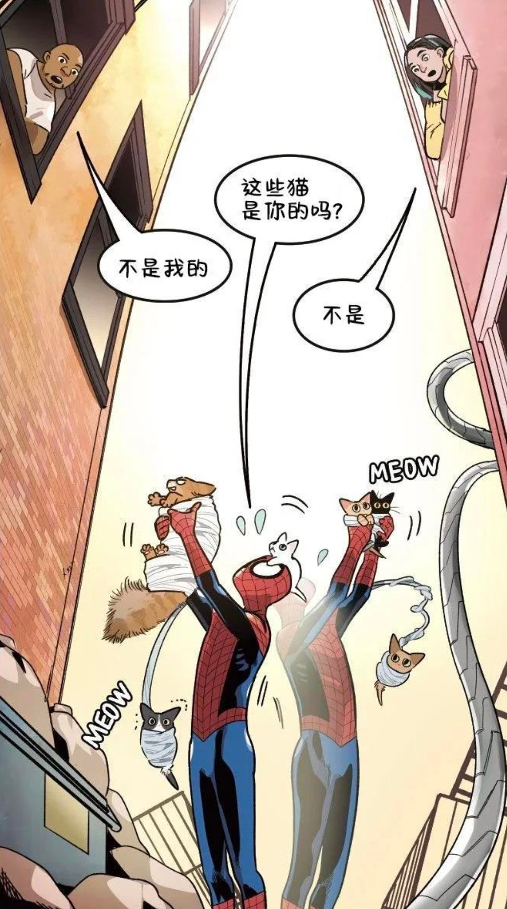 看完了.....我们虫儿真是纽约好邻居神秘爱猫男
