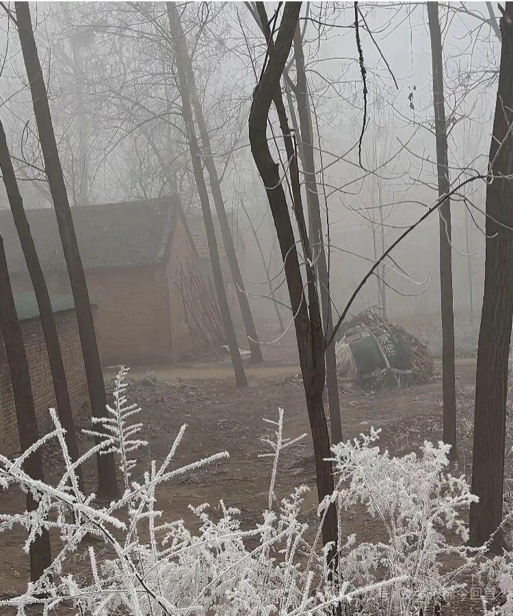 雾气蒙蒙的冬天，有冰霜，有迷雾。雾气美景大雾雾气朦胧感