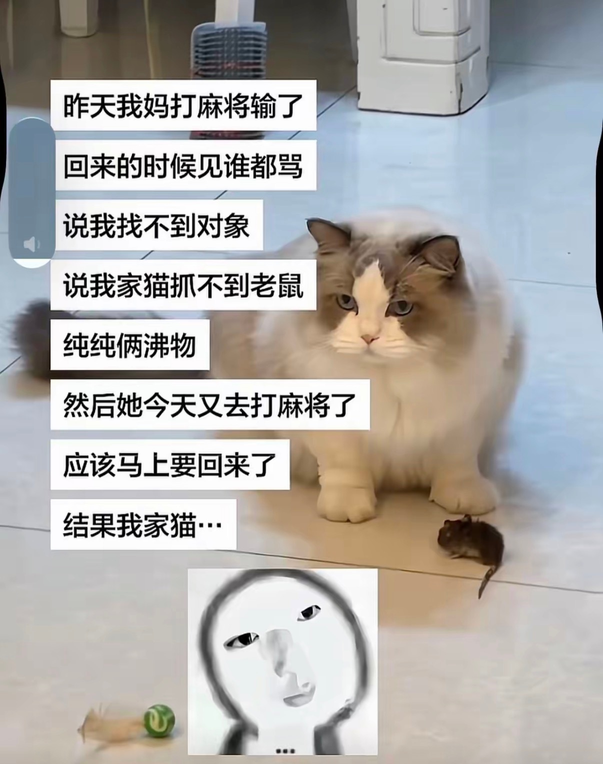 沸物，把你养得这么大却抓到这么小的老鼠