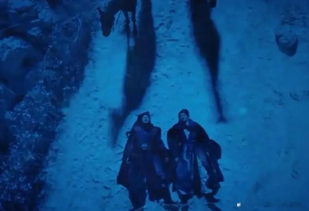 《朝雪录》燕迟累倒在了百草园大门不远处替他敲开百草园大门的，不是跟他一起来的人，