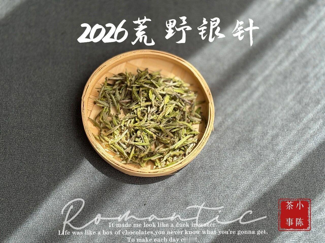 新手喝白茶，先喝新茶还是老茶？新手入门白茶，建议先喝新茶，再喝老茶。从价格角