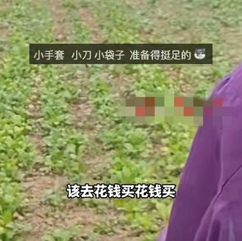 退休老夫妻菜园偷菜被逮住，面对质问，连连感叹：“运气不好”。菜园主人：“拿出低保