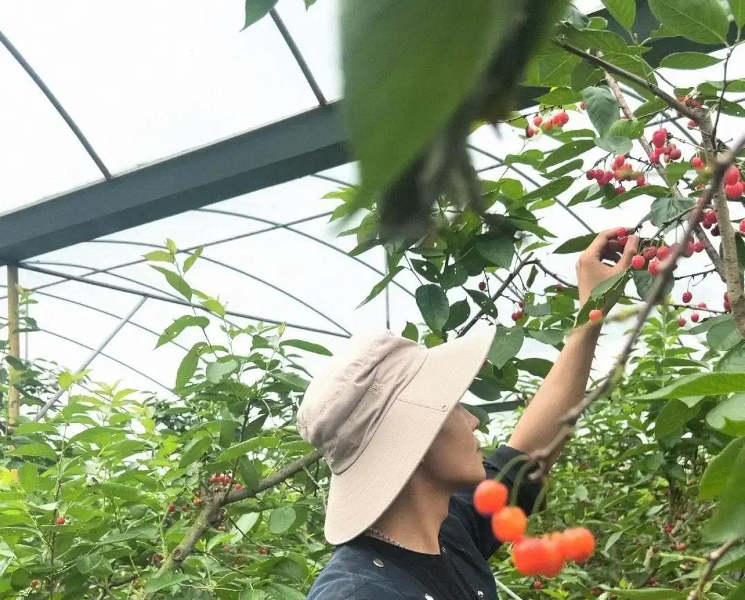 我表哥38岁那年，硬是把广州芳村那个每年能赚不少的茶叶档口给关了，揣着400万现
