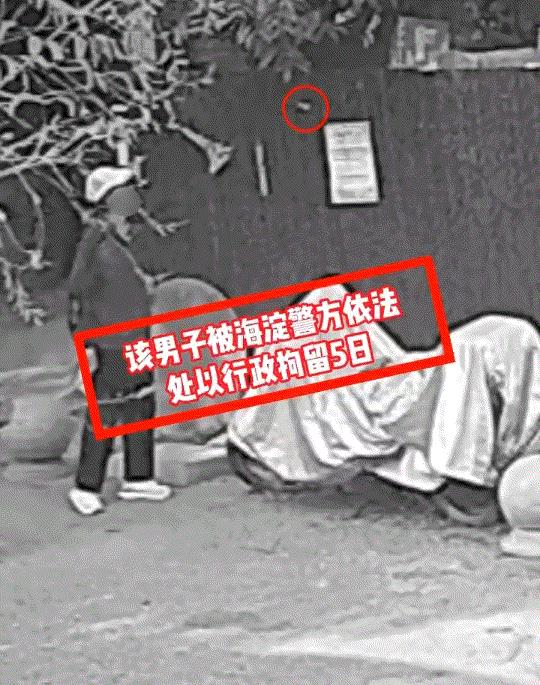 太坏了！北京海淀，一男子遛狗期间，竟将手中燃着的烟头，朝一人家杂物棚里扔，最导致