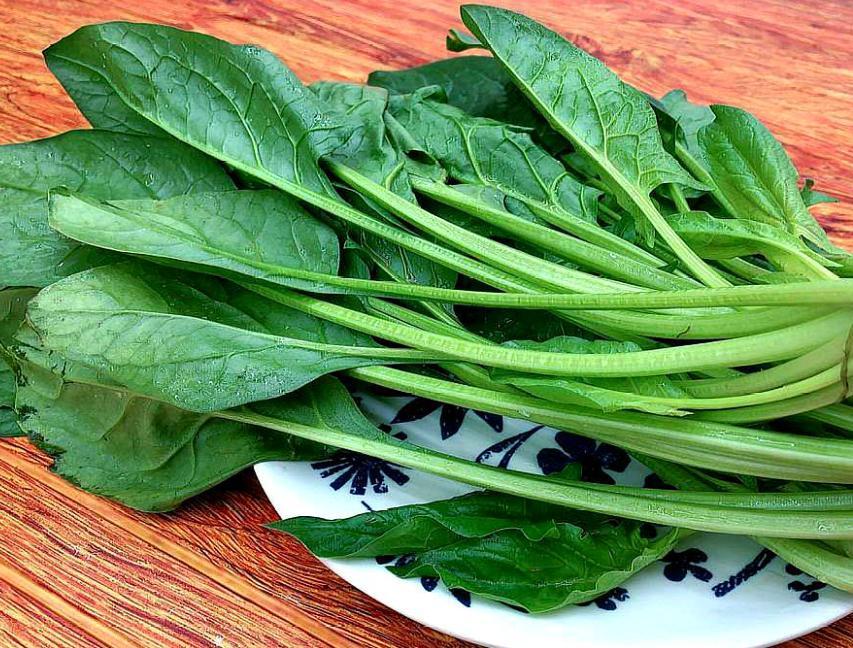 菠菜是“伤脑大户”？医生劝告：不想脑中风，3物再爱也要管住嘴菠菜在神经内科医