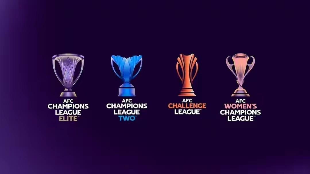 下赛季亚冠，中超就一个正赛名额，上港直通。国安要去和泰国杯赛冠军抢，赢了进精英