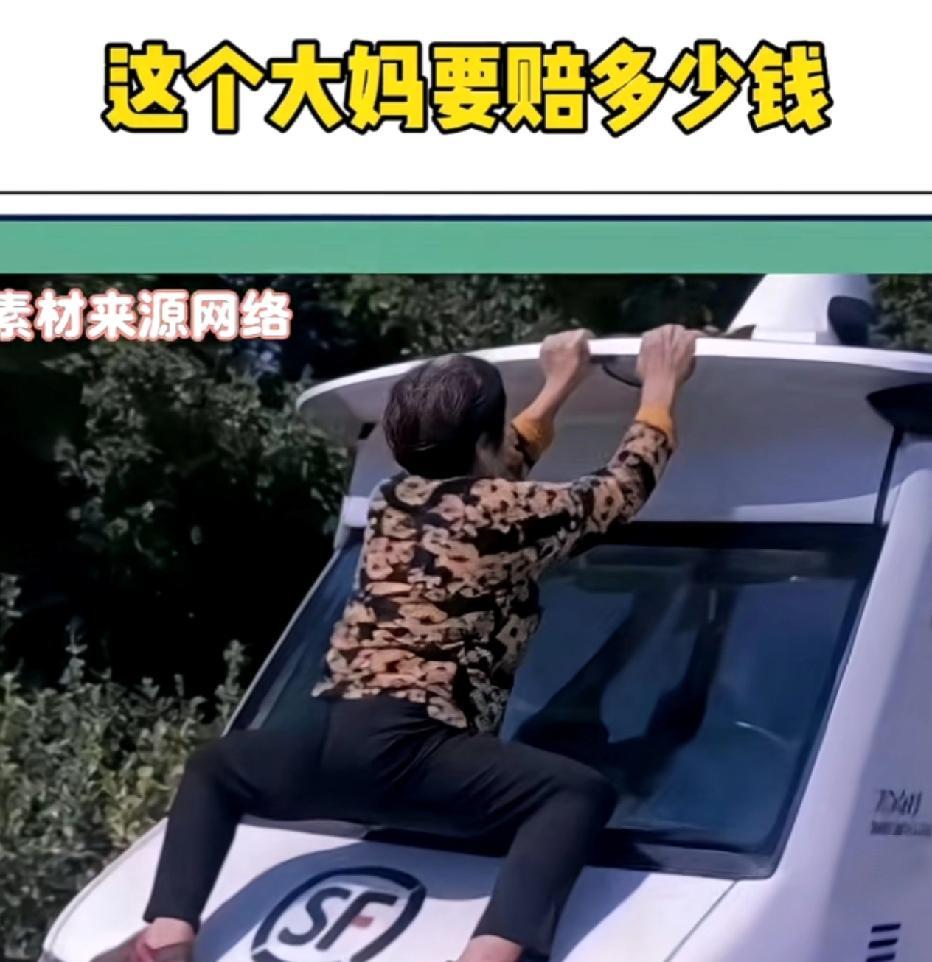 这个大妈要赔多少钱？无人快递车在路上走的好好的，谁知道大妈在路边晒东西，无人车无