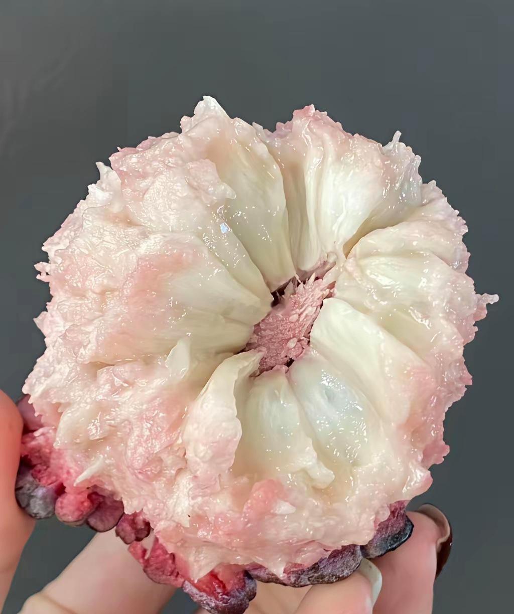 领导办公室的冰箱里看到的，都放不下了