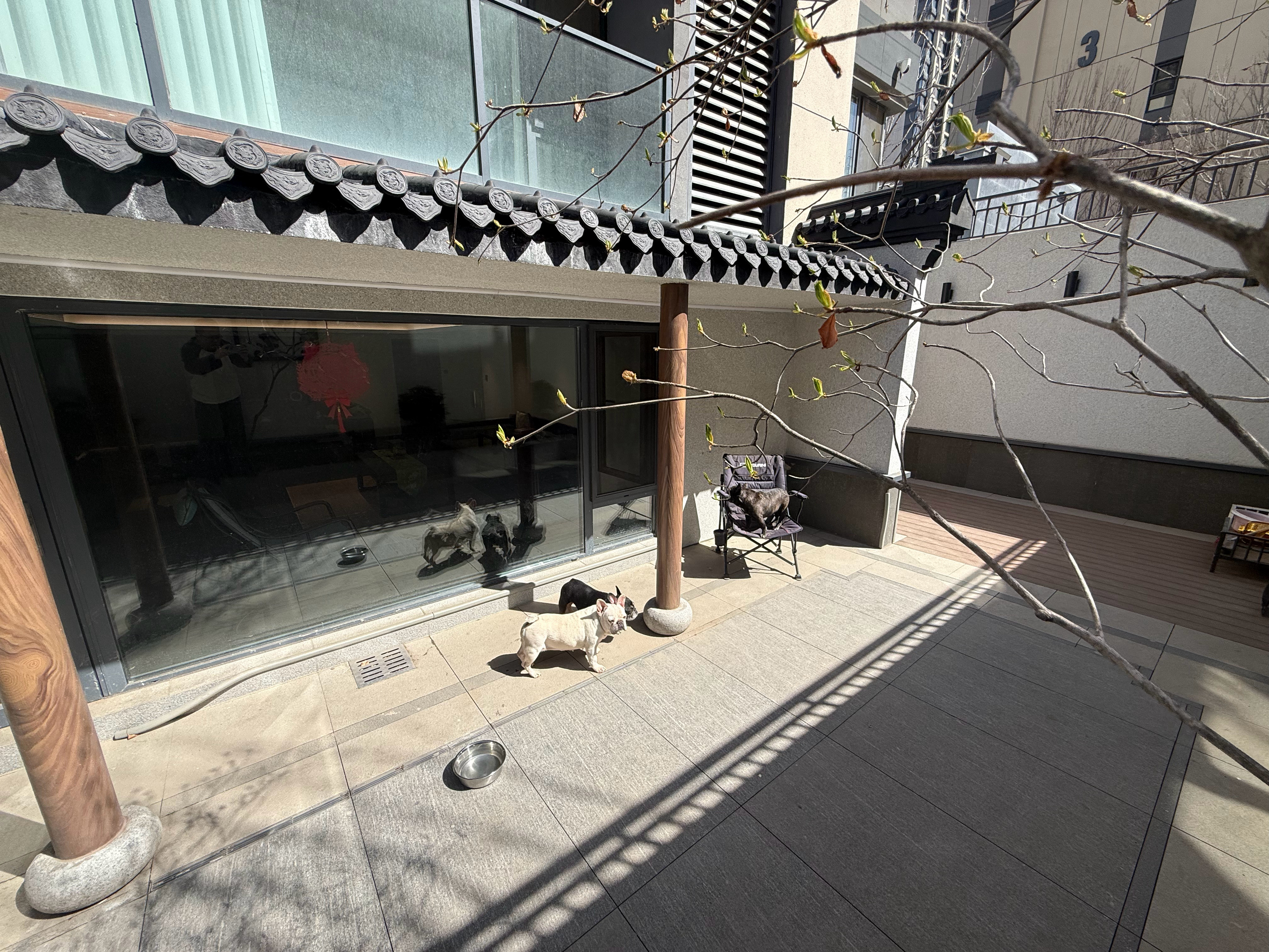 周末好好休息休息！后天又出发了🛫沈阳