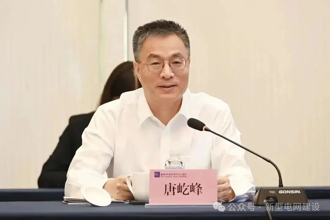 从国网到南网“跨界”广东省委委员、常委