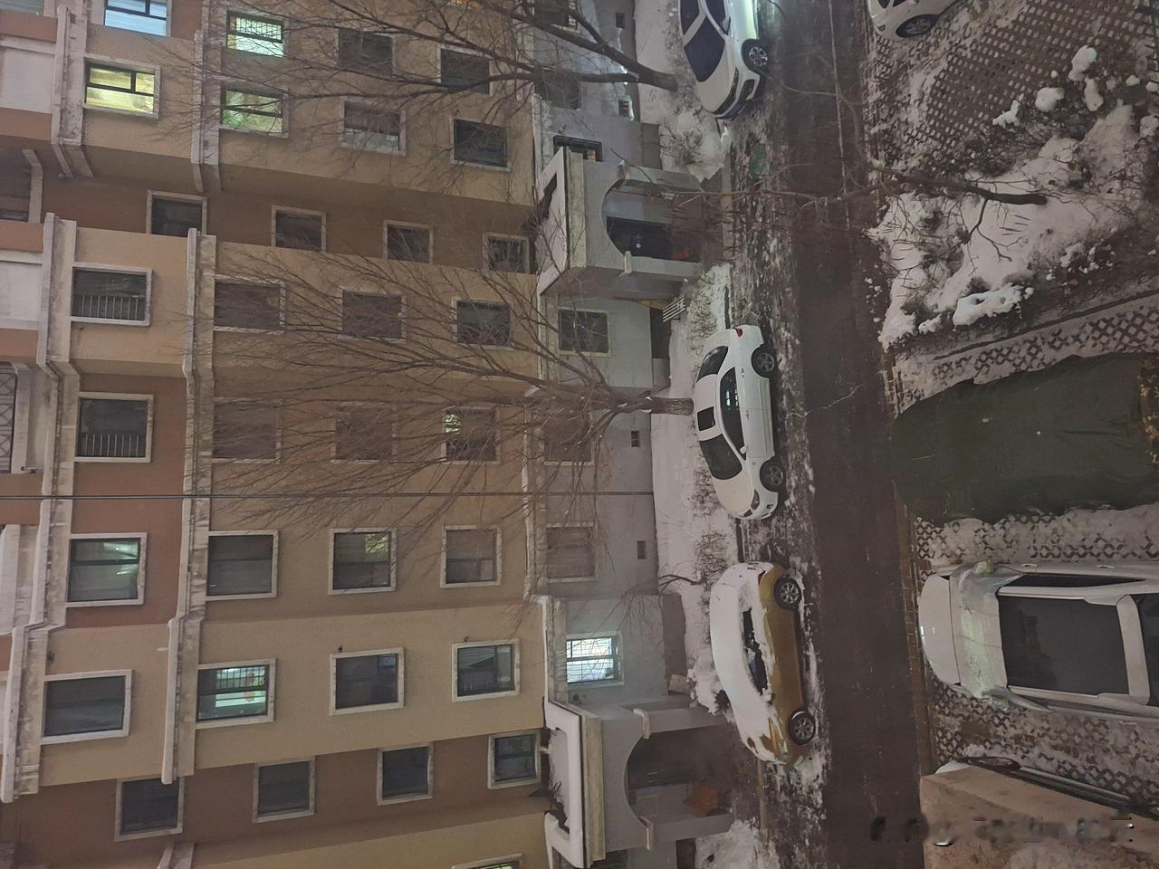 今晚很怪，快十点了，天还这么亮。待贫道掐指一算