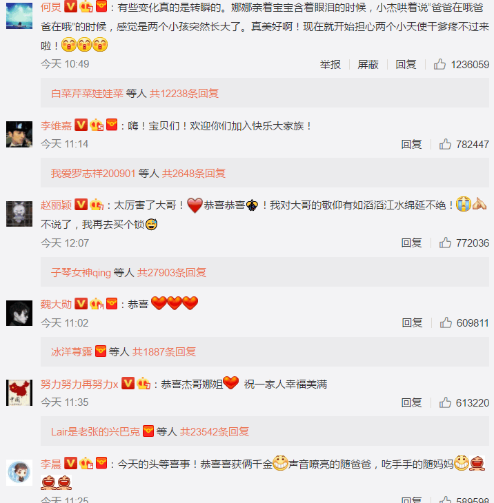 张杰谢娜_谢娜一年收入(2)