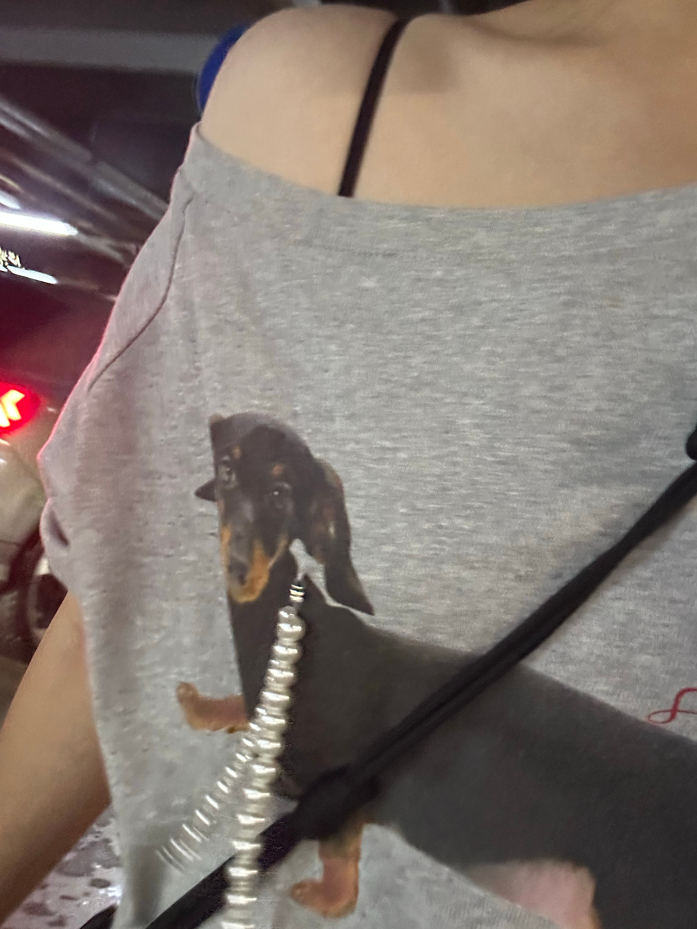 怎么这样啊，第一天穿这衣服链子的绳就折了本来是狗的项链现在变成狗耳环了。