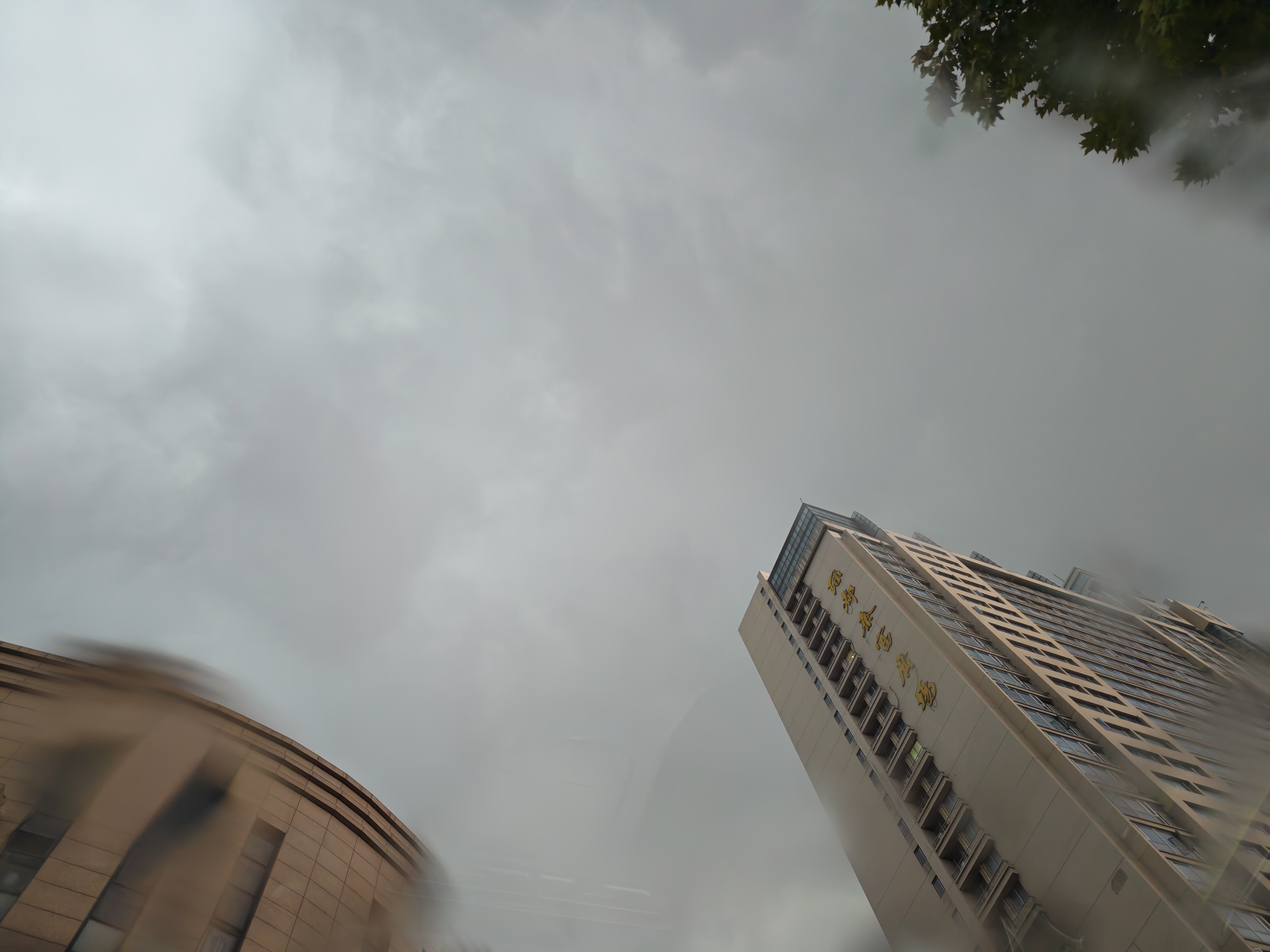 这雨下下来，就是倾盆大雨！​​​