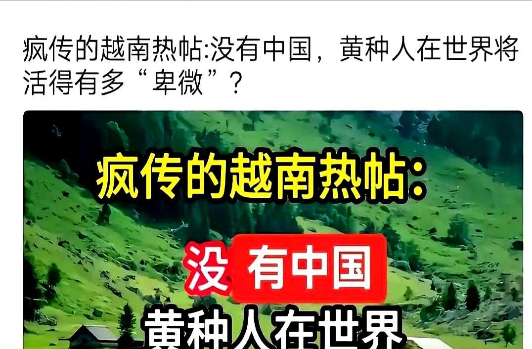 近日，越南论坛被一条帖子掀翻：没有中国，黄种人在星巴克都得踮脚点单。一位越南网友