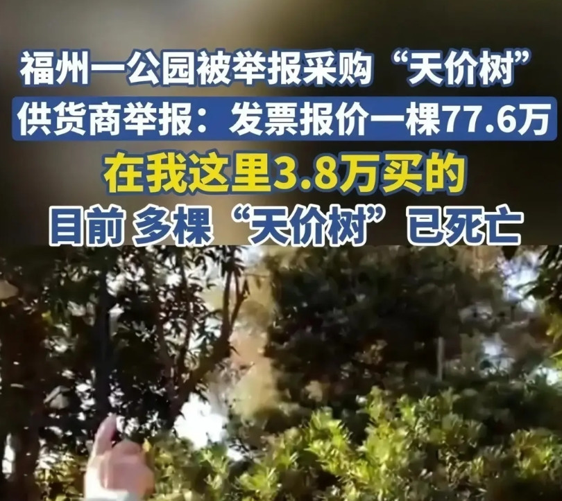 离了大谱，一棵树报价77.6万，而供货商的价格是3.8万，有网友评价你猜供货商为