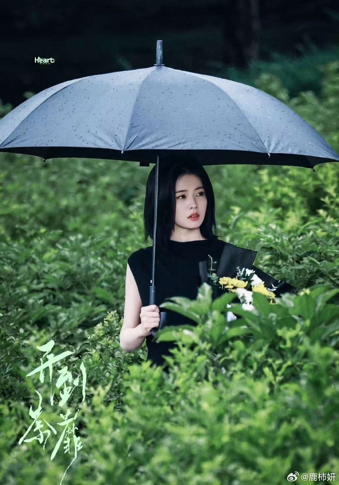 #白鹿#bI#白鹿王韵娜#bI#白鹿开到荼蘼#𝘛𝘪𝘮𝘦𝘸𝘪𝘭𝘭𝘮𝘦𝘭𝘵𝘢?