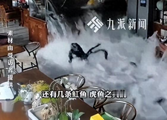 昨天江苏无锡出了件稀罕事，又惨又好笑。一间办公室里的3米大鱼缸突然爆了，4吨水全