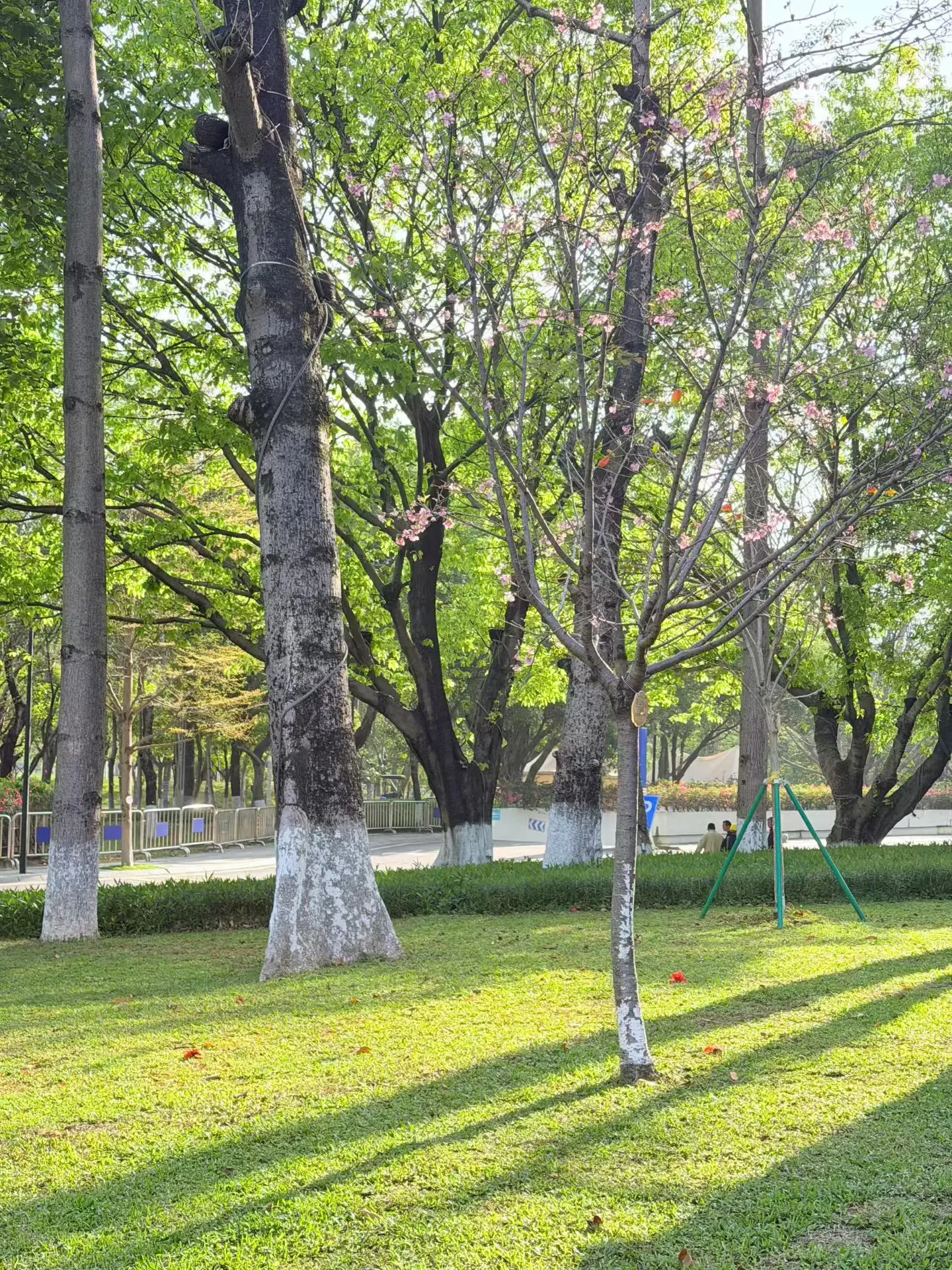 沿途风景随拍 无意间发现生活的诗意美 景点打卡