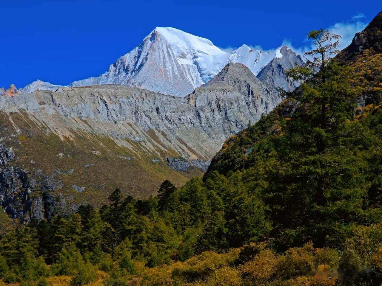 稻城亚丁观秋韵。雪山、森林、蓝天、白云......蓝天铺开巨大的底色你（夏