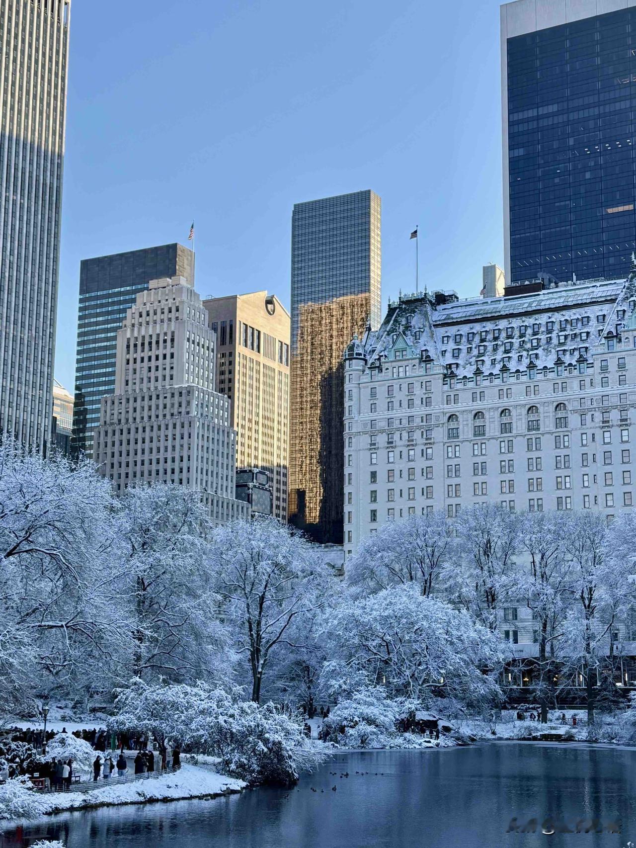 纽约初雪后的中央公园，直接美到让人沦陷！白雪覆盖草坪与步道，褪去城市喧嚣