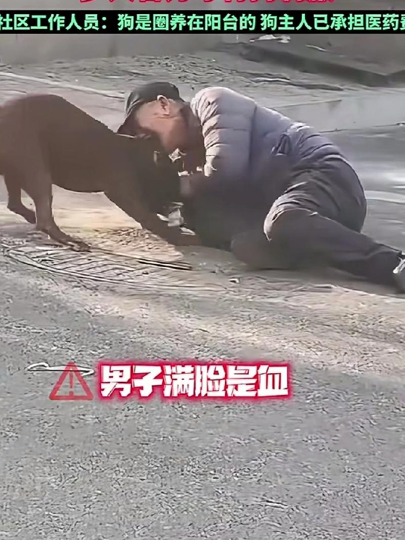 男子误开邻居家阳台门，把狗给放了出来，被大狗扑倒撕咬，满脸是伤，主人也制置不了，