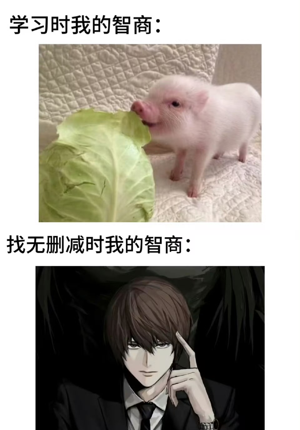 我这智商要是用在学习上…