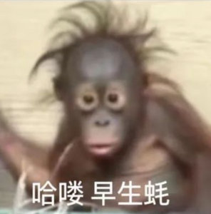 早早早又到周六了[大笑]传送①（）传送②（）​​​