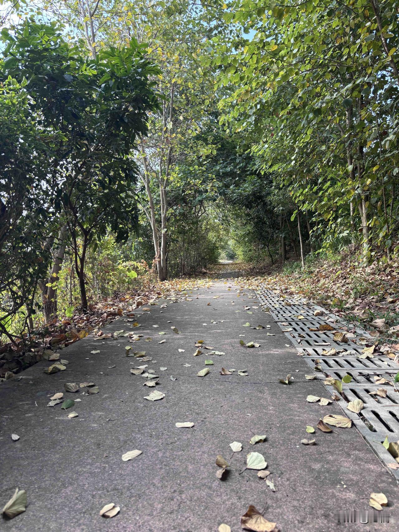 看到这样的说法很有意思。美国建国以来做的最失误的两件事就是：1，把钱学森放