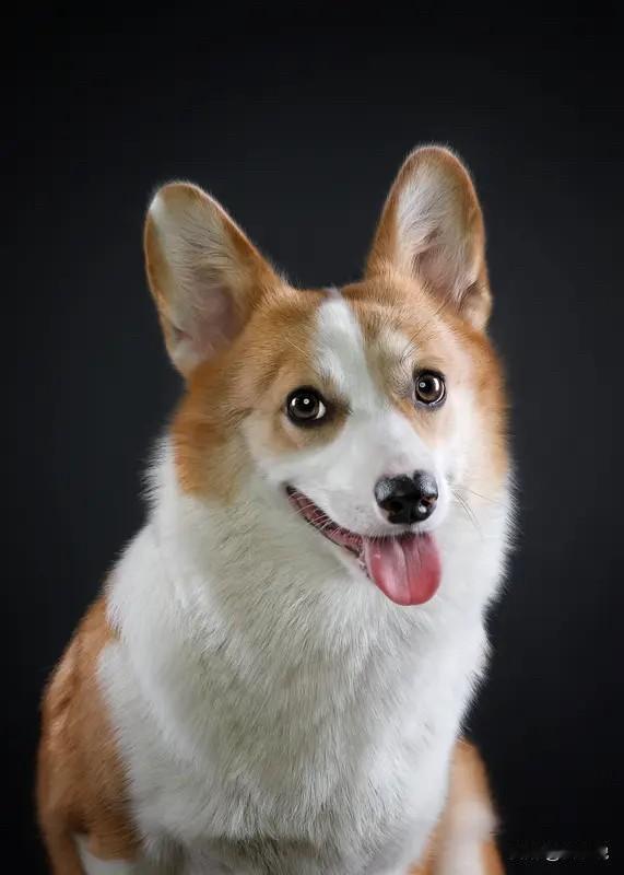 被这番活法戳中了！成年人的通透处世观第一、人这辈子，别太较真，太较真了会很累