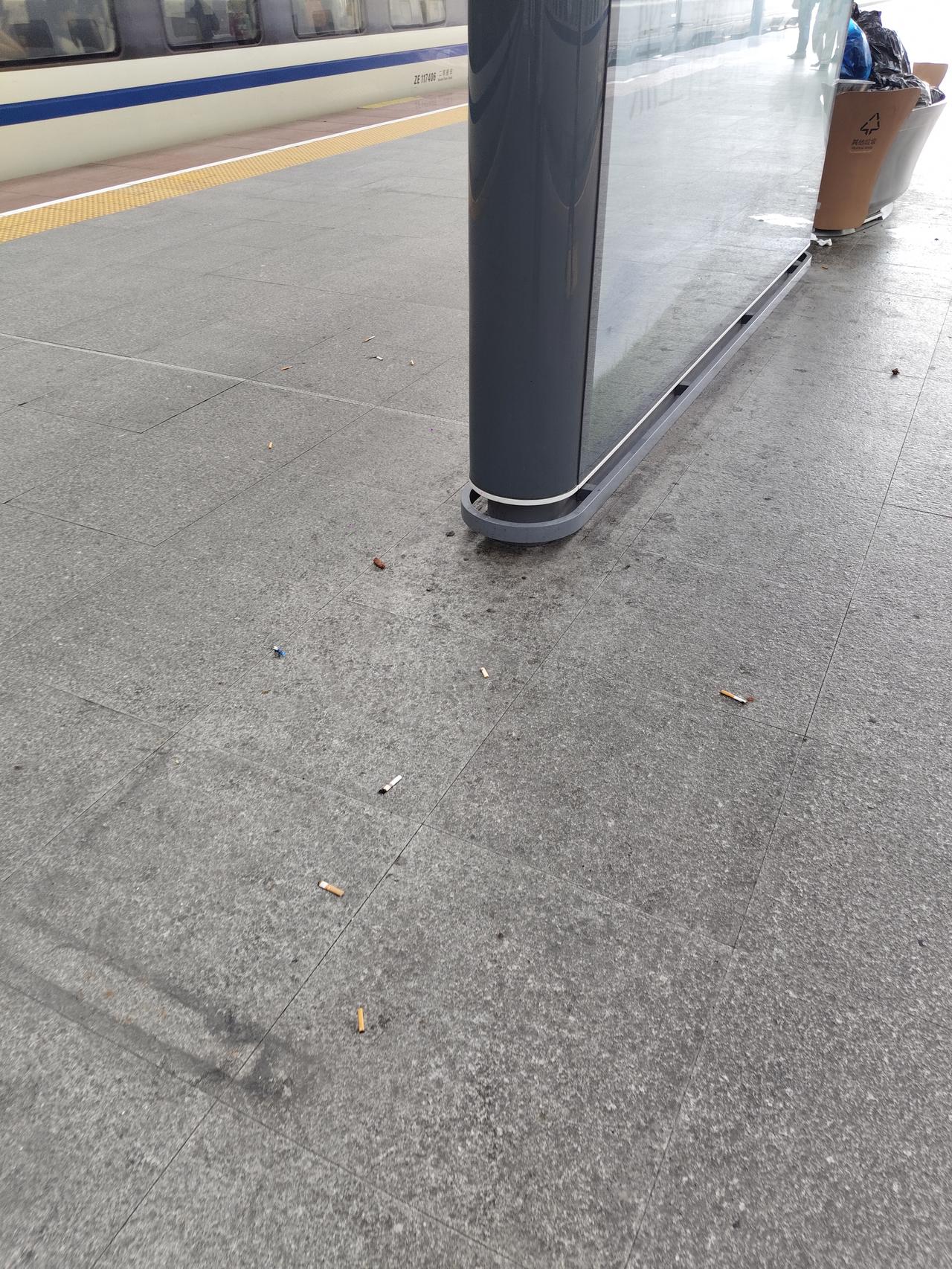 这是深圳北站站台。到处都是烟头，这哪是对外开放门户和国际性综合交通枢纽的大都市的