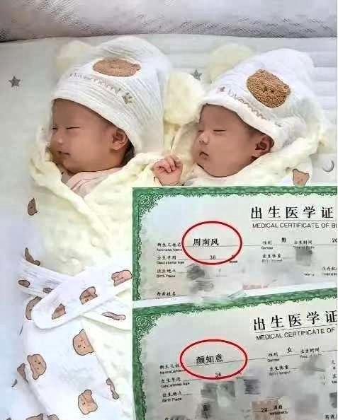 惊！这对龙凤胎的名字直接封神，网友：文化人起名果然杀疯了！男孩周南风，女孩颜