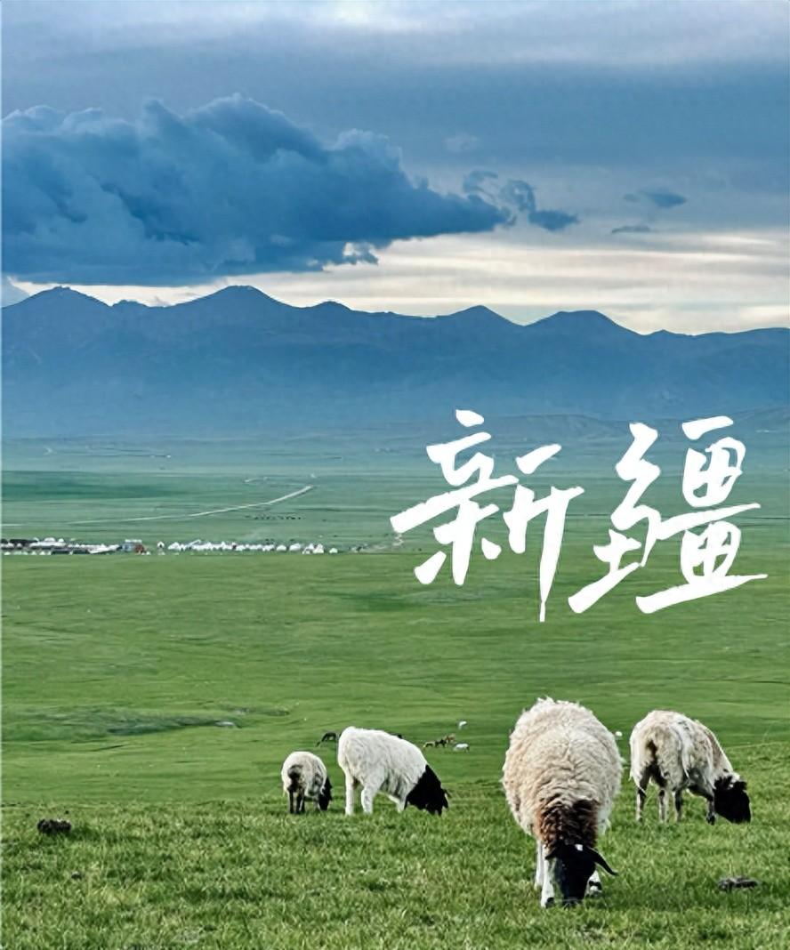 3.47万亿砸向新疆！央企巨头组团，500个项目开建，有人已经入场 你可