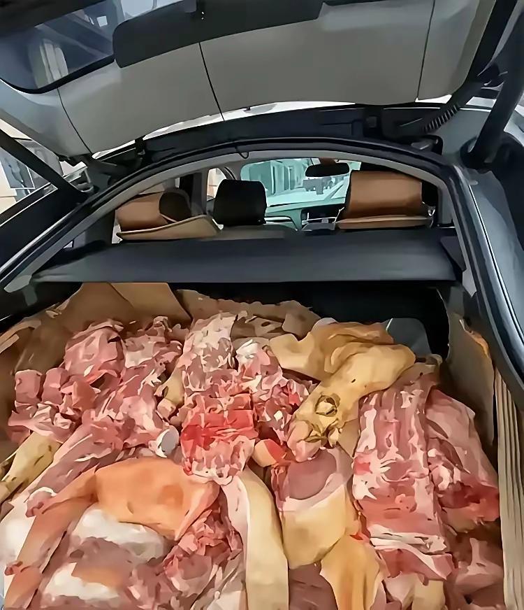 路上碰到一个用宝马车拉猪肉的老板，这人怎么想的？​​​