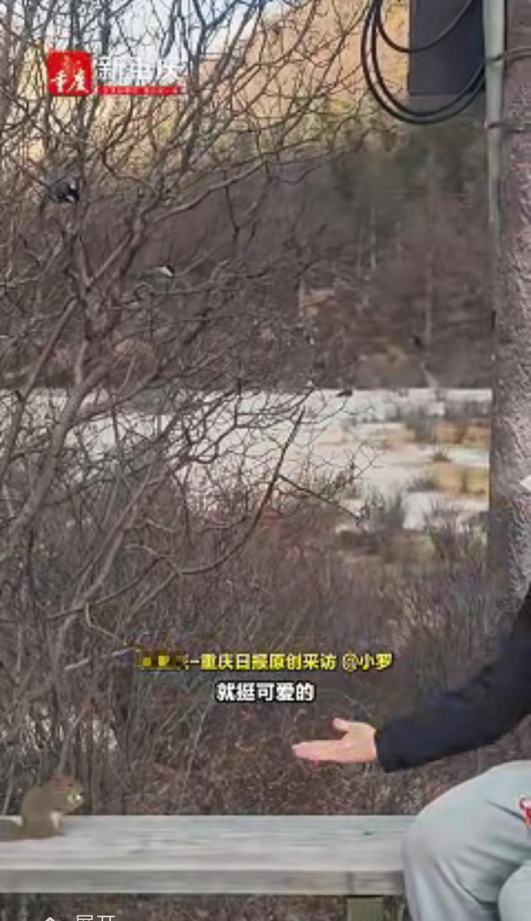 “解释不清了！”四川，一男生去稻城亚丁旅行，中途累了坐下休息，没想到，刚坐下不到