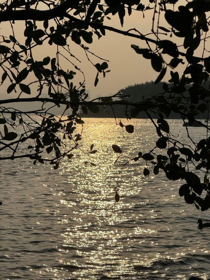 冬天的海边很适合散步