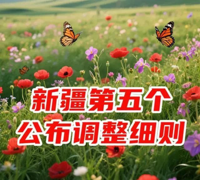新疆这次牛，抢在了第五个公布养老金调整细则的每五个省份。地域最远，信息最快，公布