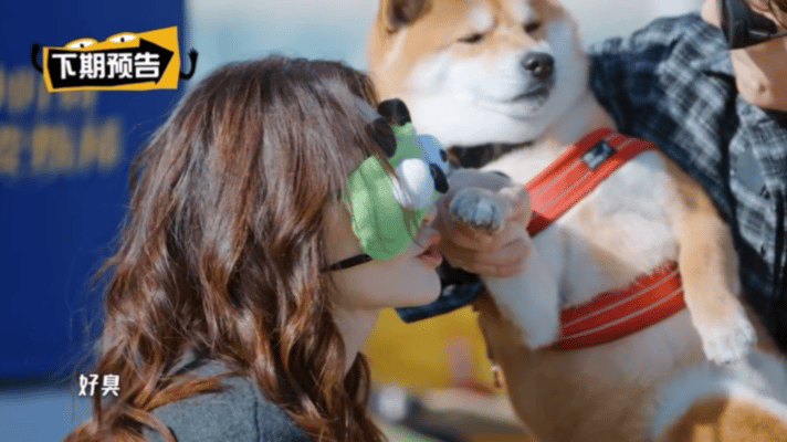 五哈下期有李小冉李小冉五哈预告哈哈哈哈哈下一期五哈有李小冉！她还会带爱犬钢镚出