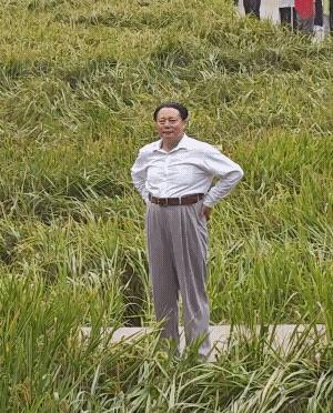 这种脸型一点都不像，怎么能算特型演员呢？而且特型演员只能在演出时出现，决不允许在